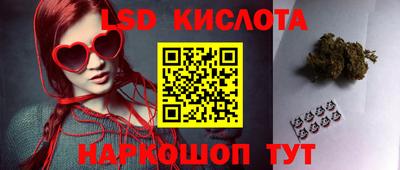 крисы Кандалакша