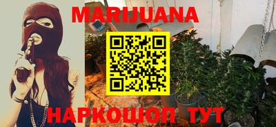крисы Кандалакша