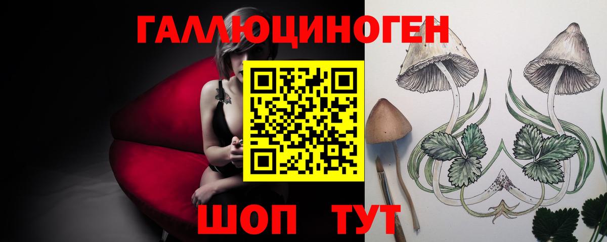 Тольятти  Галлюциногенные грибы прущие грибы  Вход с VPN 